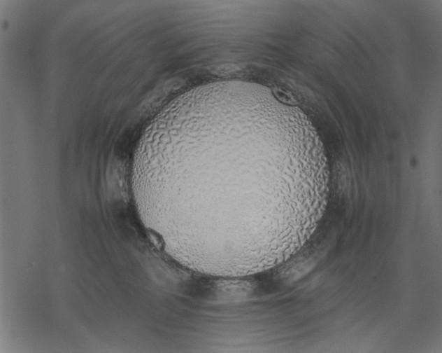 X0000077280234200611031533