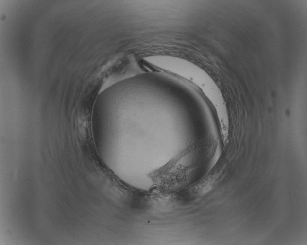 X0000077280235200611031533