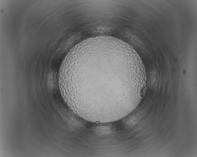 X0000077280236200611031533