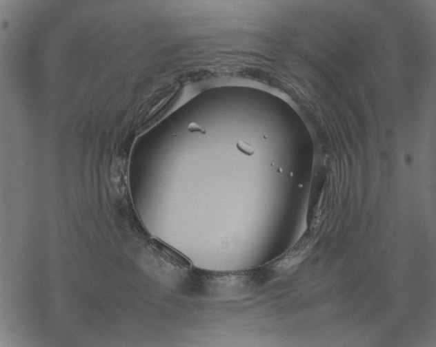 X0000077280237200611031533