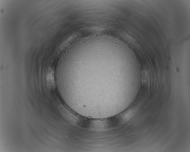 X0000077280238200611031533