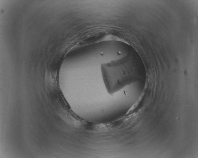 X0000077280239200611031533