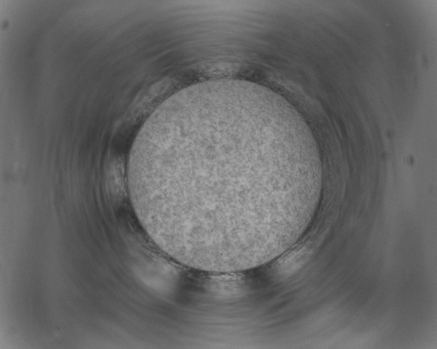 X0000077280240200611031533