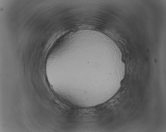 X0000077280241200611031532