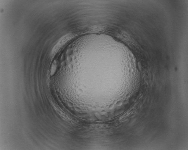 X0000077280242200611031532