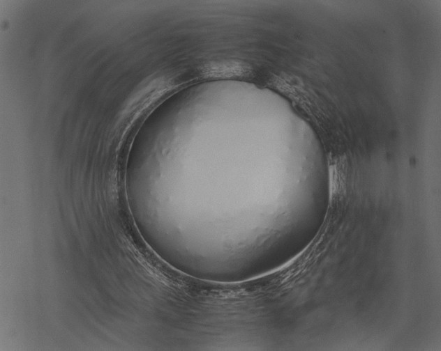 X0000077280243200611031532