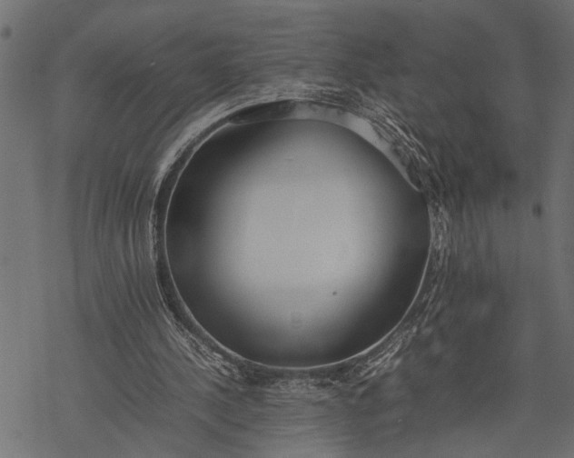 X0000077280244200611031532