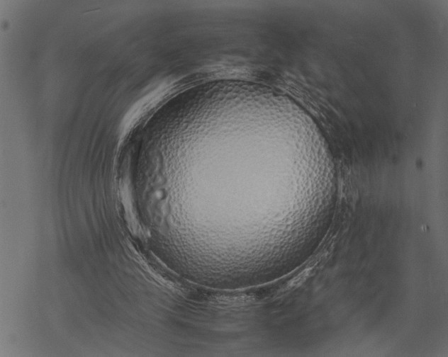 X0000077280245200611031532