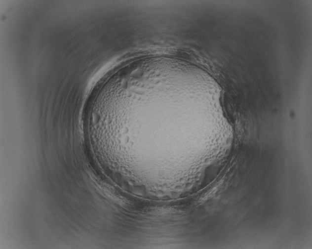 X0000077280246200611031532