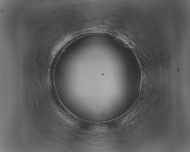 X0000077280248200611031532