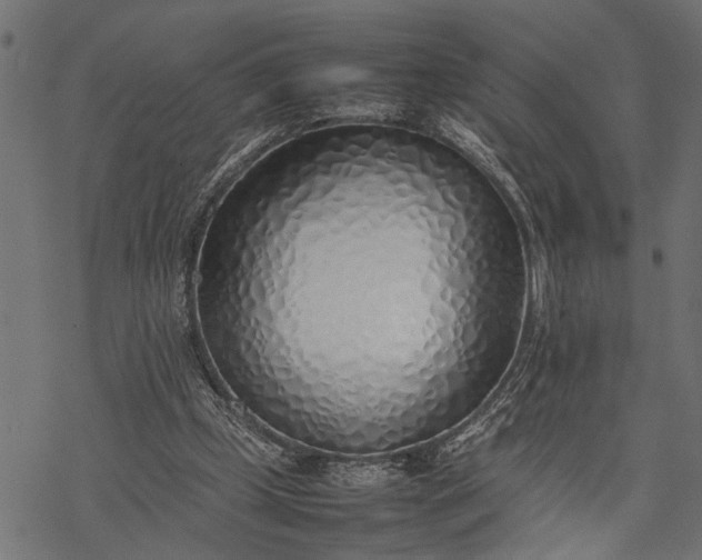 X0000077280249200611031532