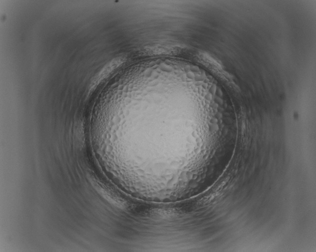 X0000077280250200611031532