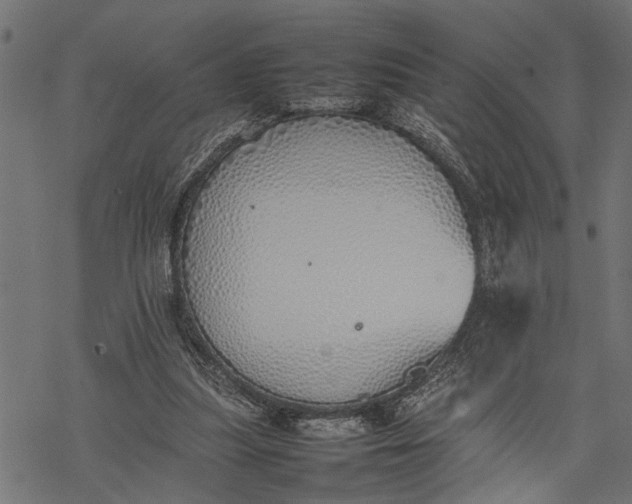 X0000077280251200611031532