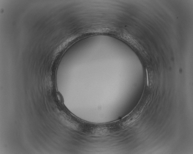 X0000077280252200611031532