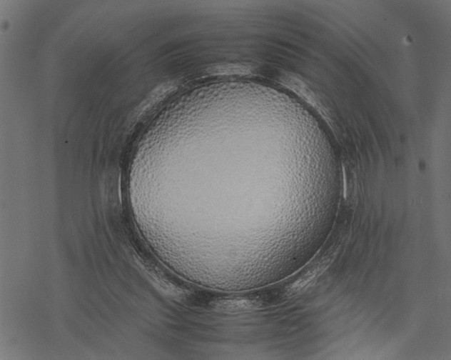 X0000077280253200611031532