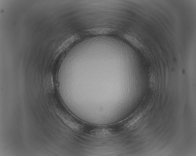 X0000077280254200611031532