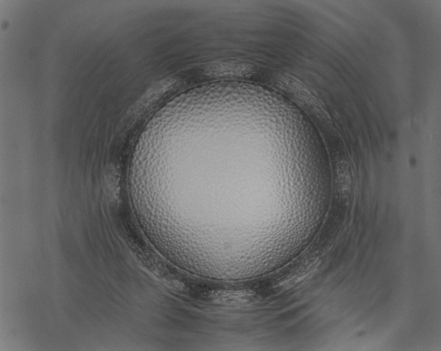 X0000077280255200611031532