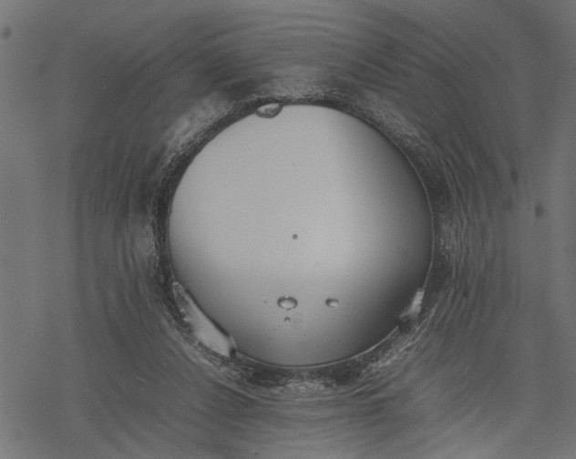 X0000077280256200611031532