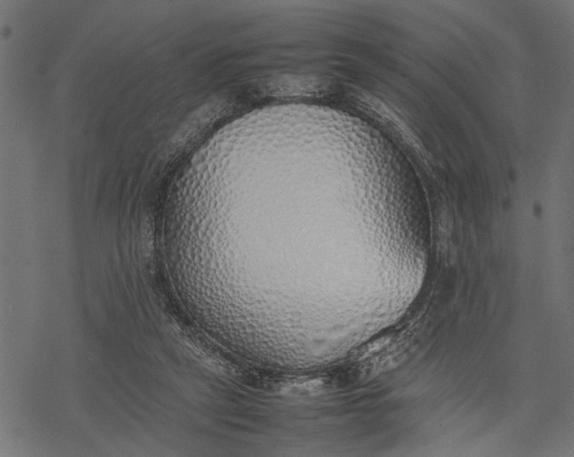 X0000077280257200611031532