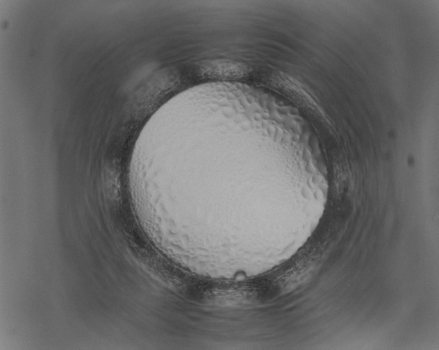 X0000077280259200611031532