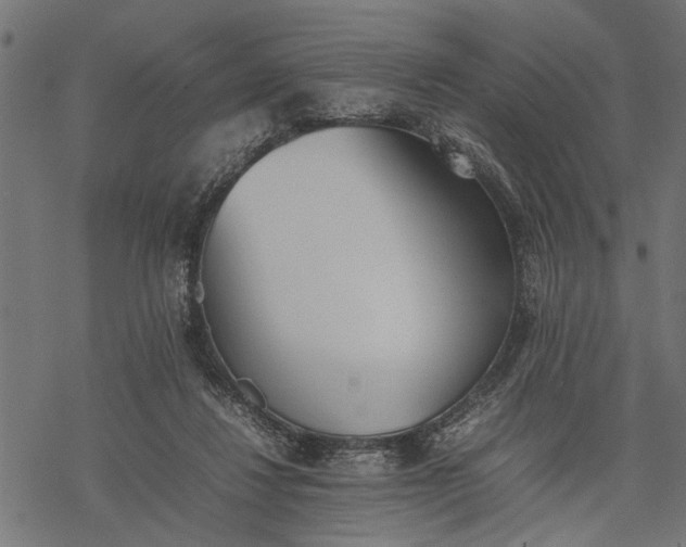 X0000077280260200611031532