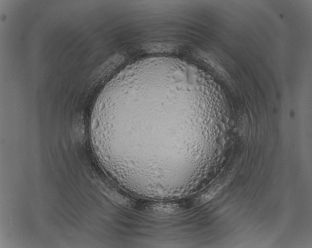 X0000077280261200611031532