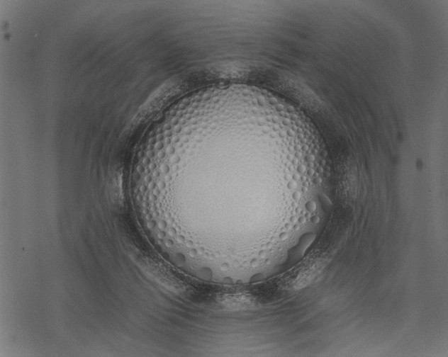 X0000077280262200611031532