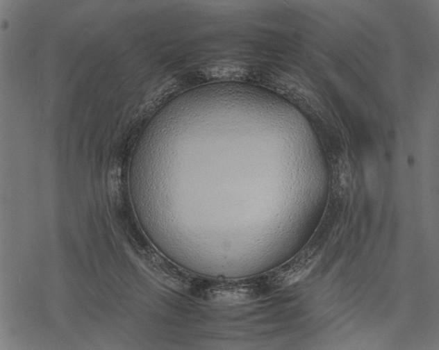 X0000077280263200611031532