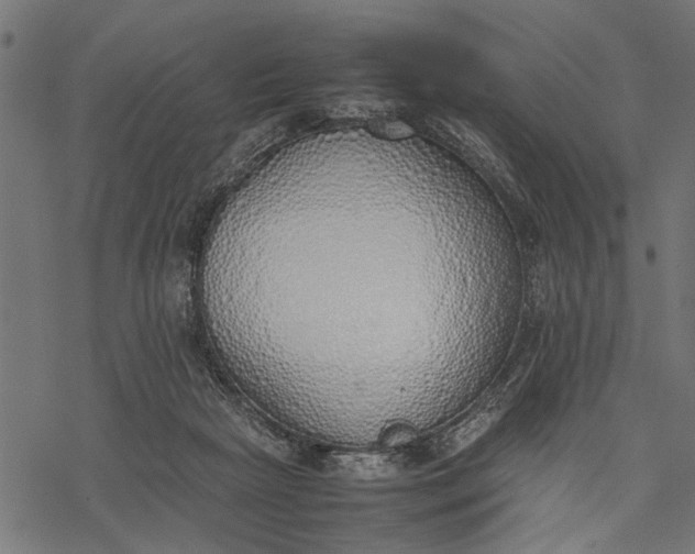 X0000077280265200611031533