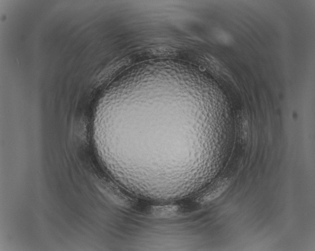 X0000077280266200611031533