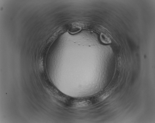 X0000077280267200611031533