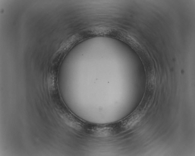 X0000077280268200611031533