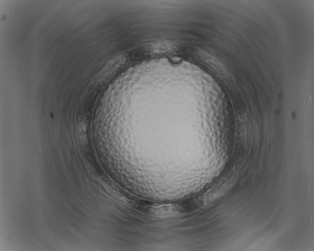 X0000077280269200611031533