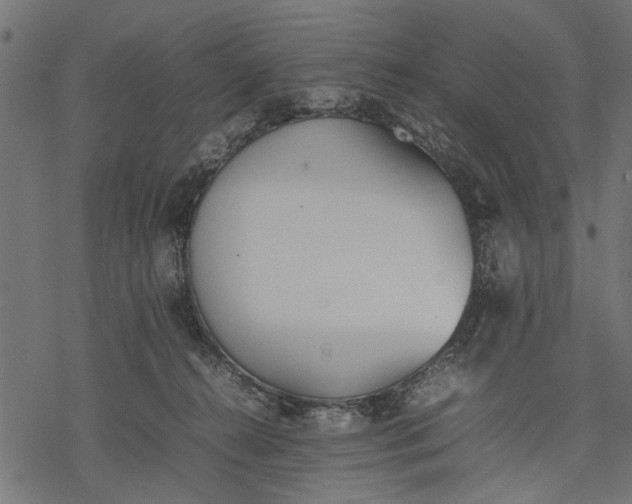 X0000077280272200611031533