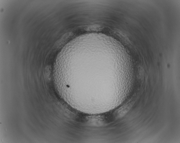 X0000077280273200611031533