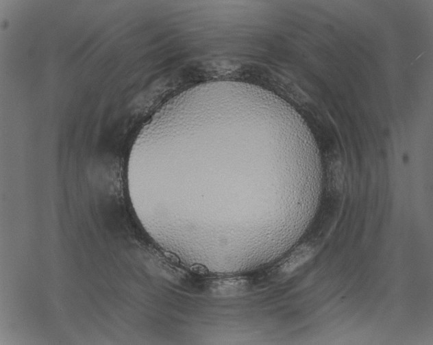 X0000077280274200611031533