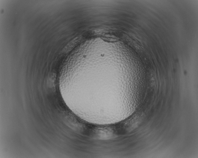 X0000077280275200611031533