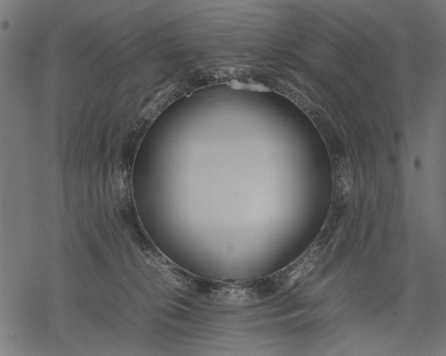 X0000077280276200611031533