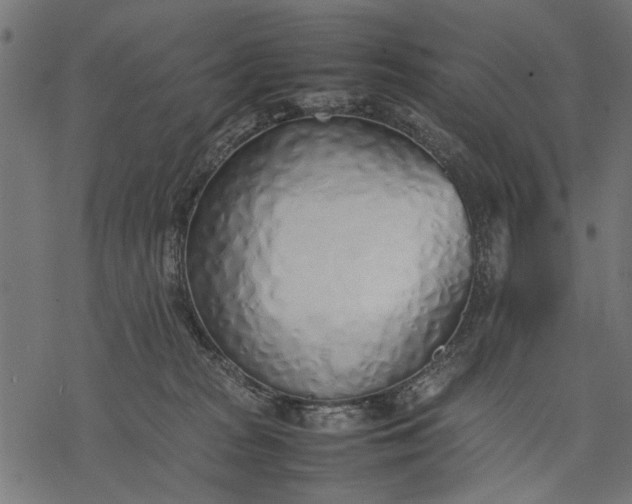 X0000077280277200611031533