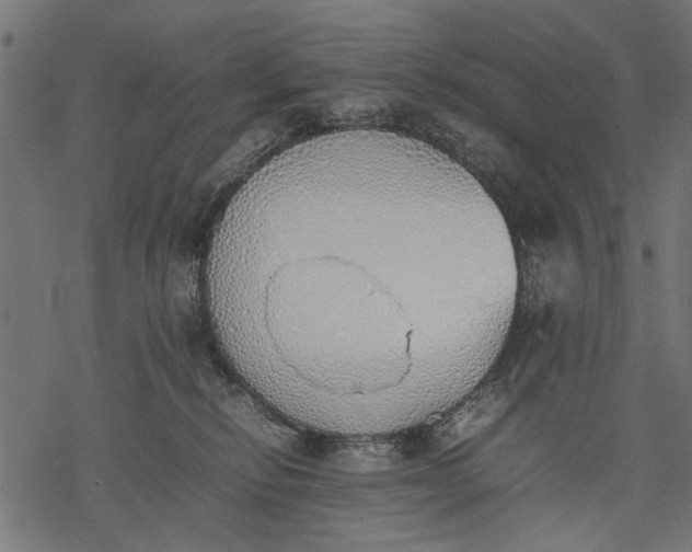 X0000077280278200611031533