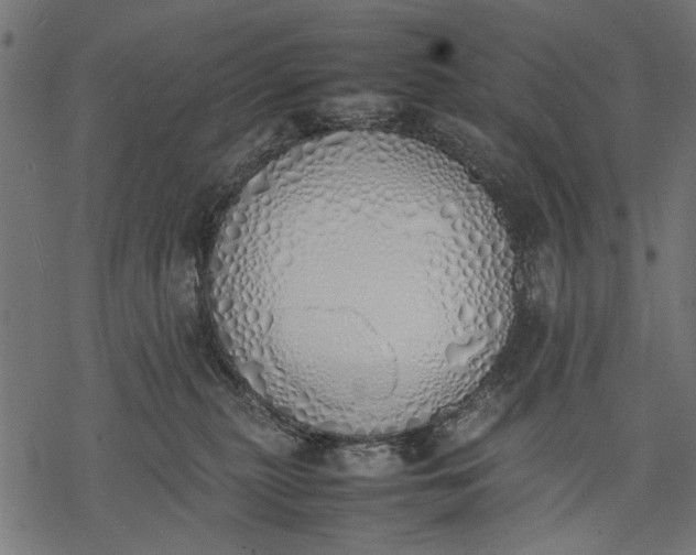 X0000077280279200611031533