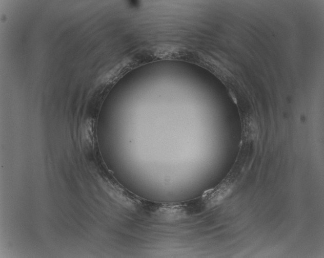 X0000077280280200611031533