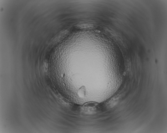 X0000077280281200611031533