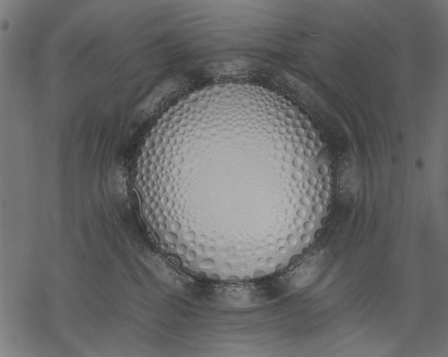 X0000077280282200611031533