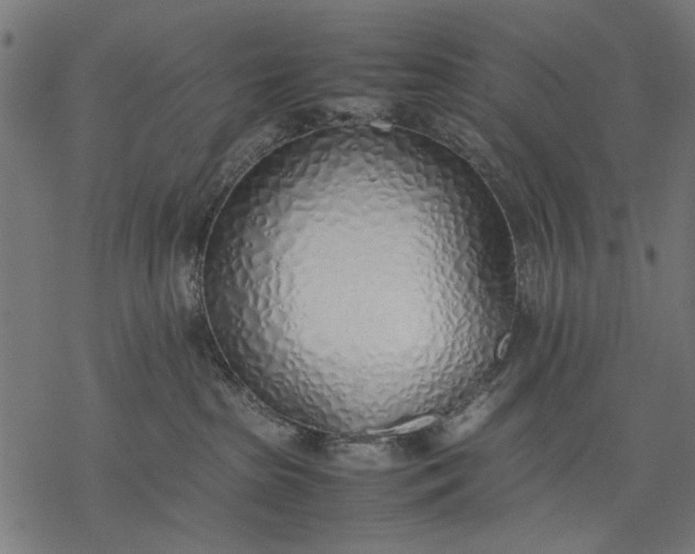 X0000077280285200611031533