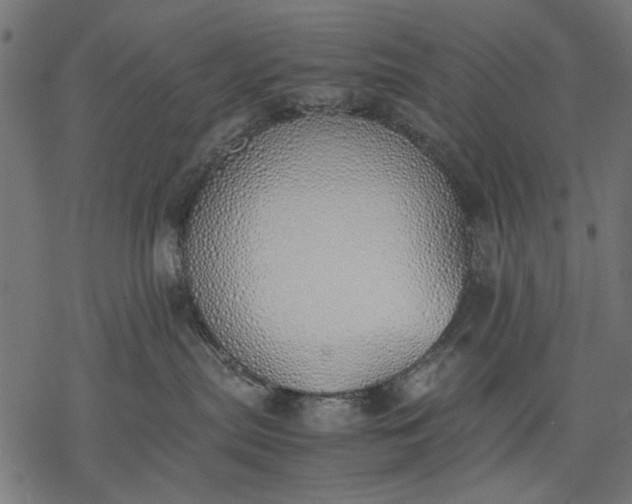 X0000077280287200611031533