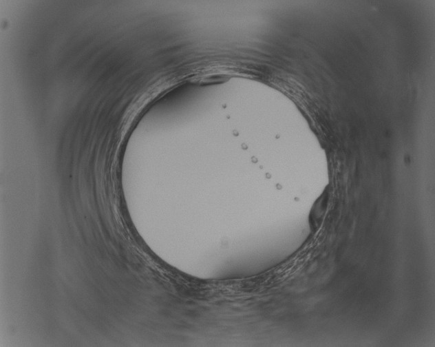 X0000077280289200611031532