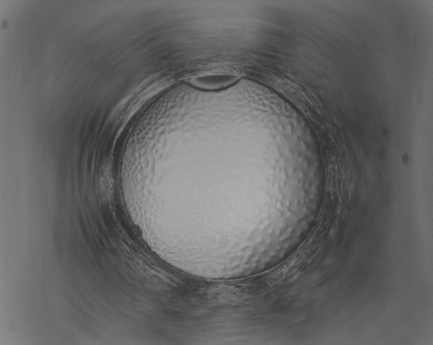 X0000077280290200611031532