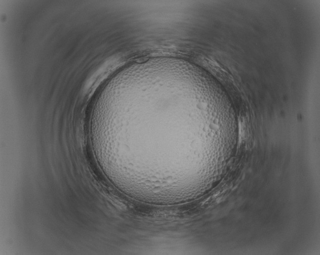 X0000077280291200611031532