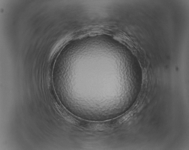 X0000077280293200611031532